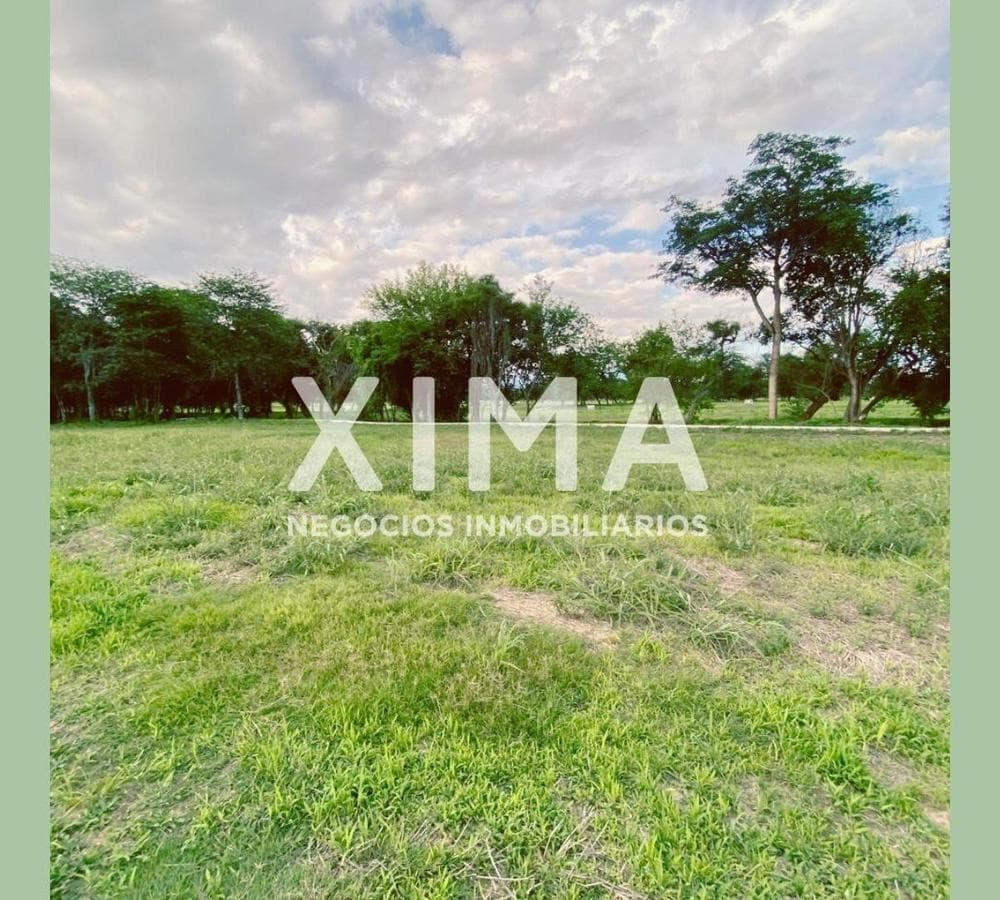 Terreno en La Arbolada - 1