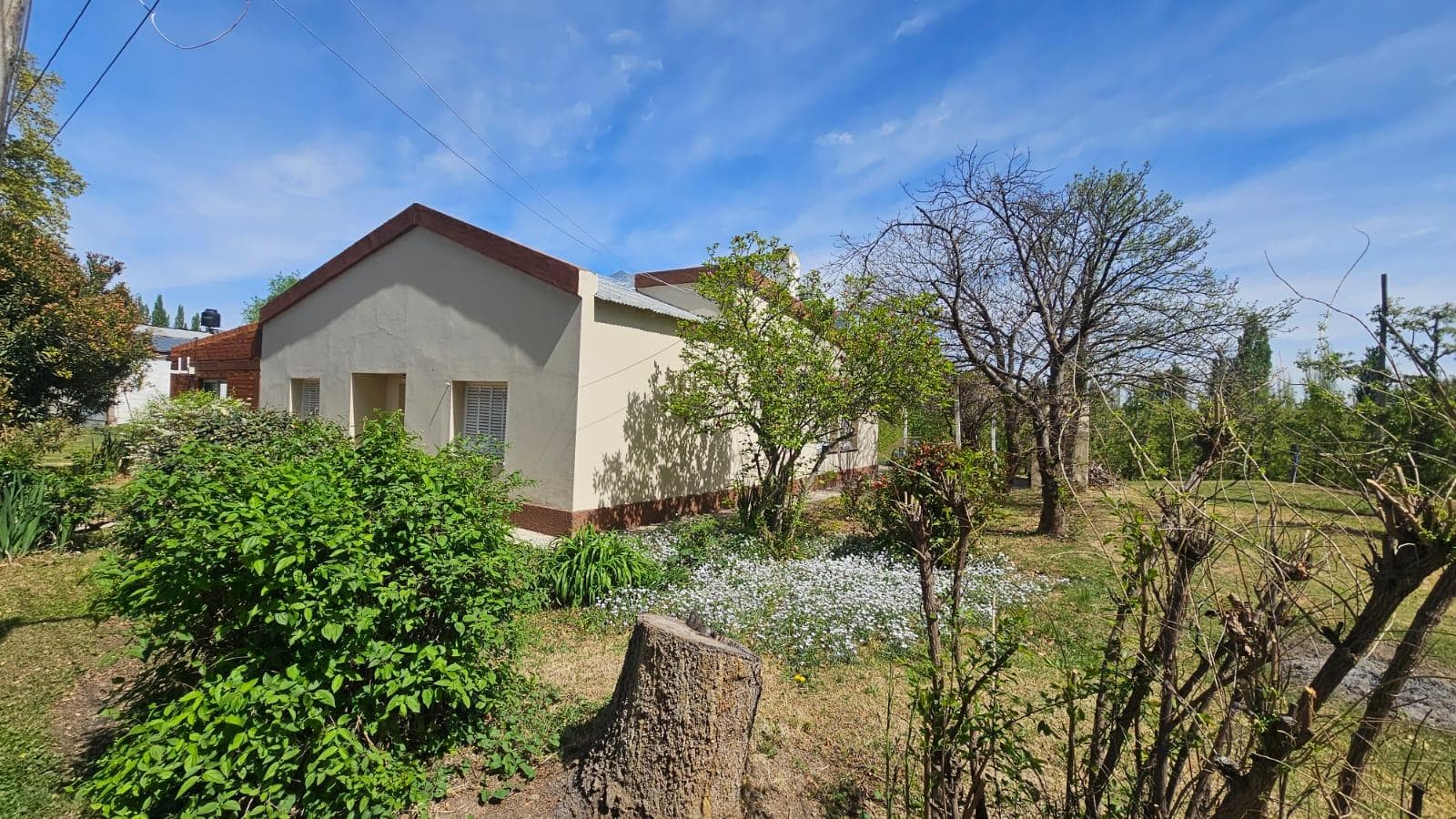 Chacra Cipollett - 1