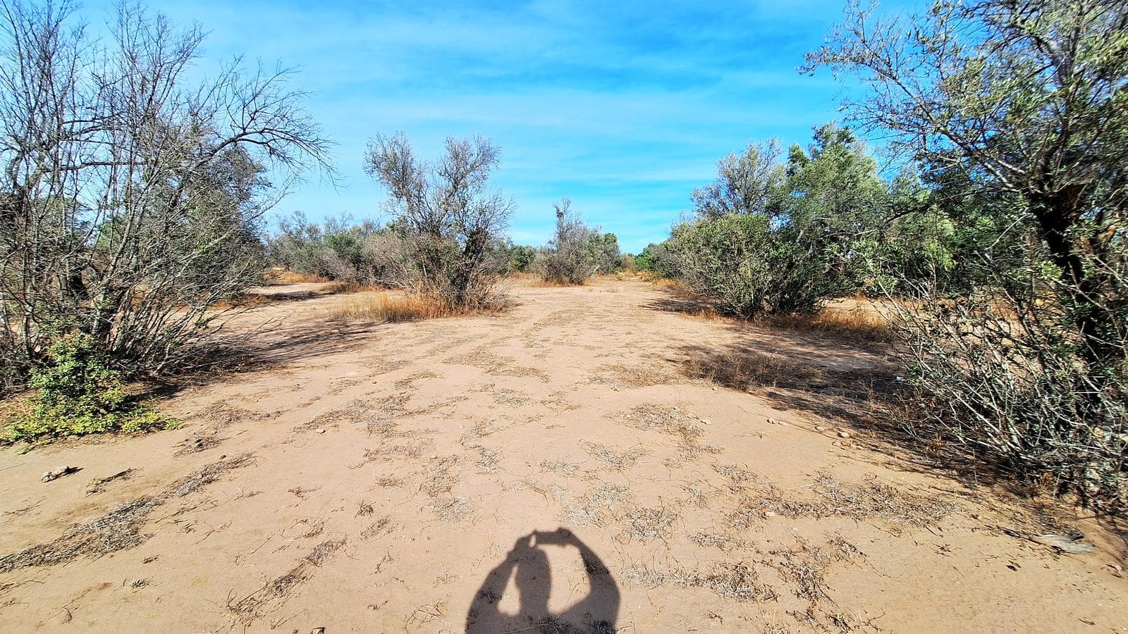 Media Naranja Fracción de 3 Has con Olivares - 1