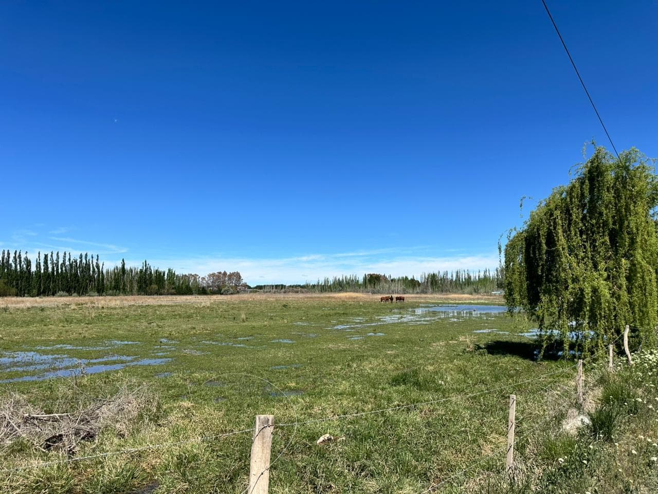 Alquila hectareas frente Ruta 7 en Vista Alegre Norte - 1