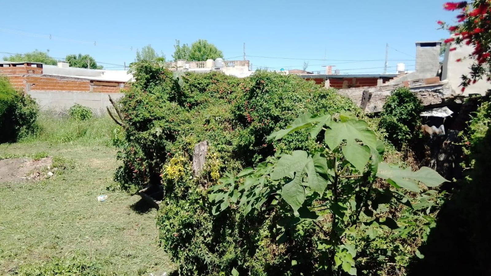 Galpón en venta - 641Mts2 - San Pedro - 1