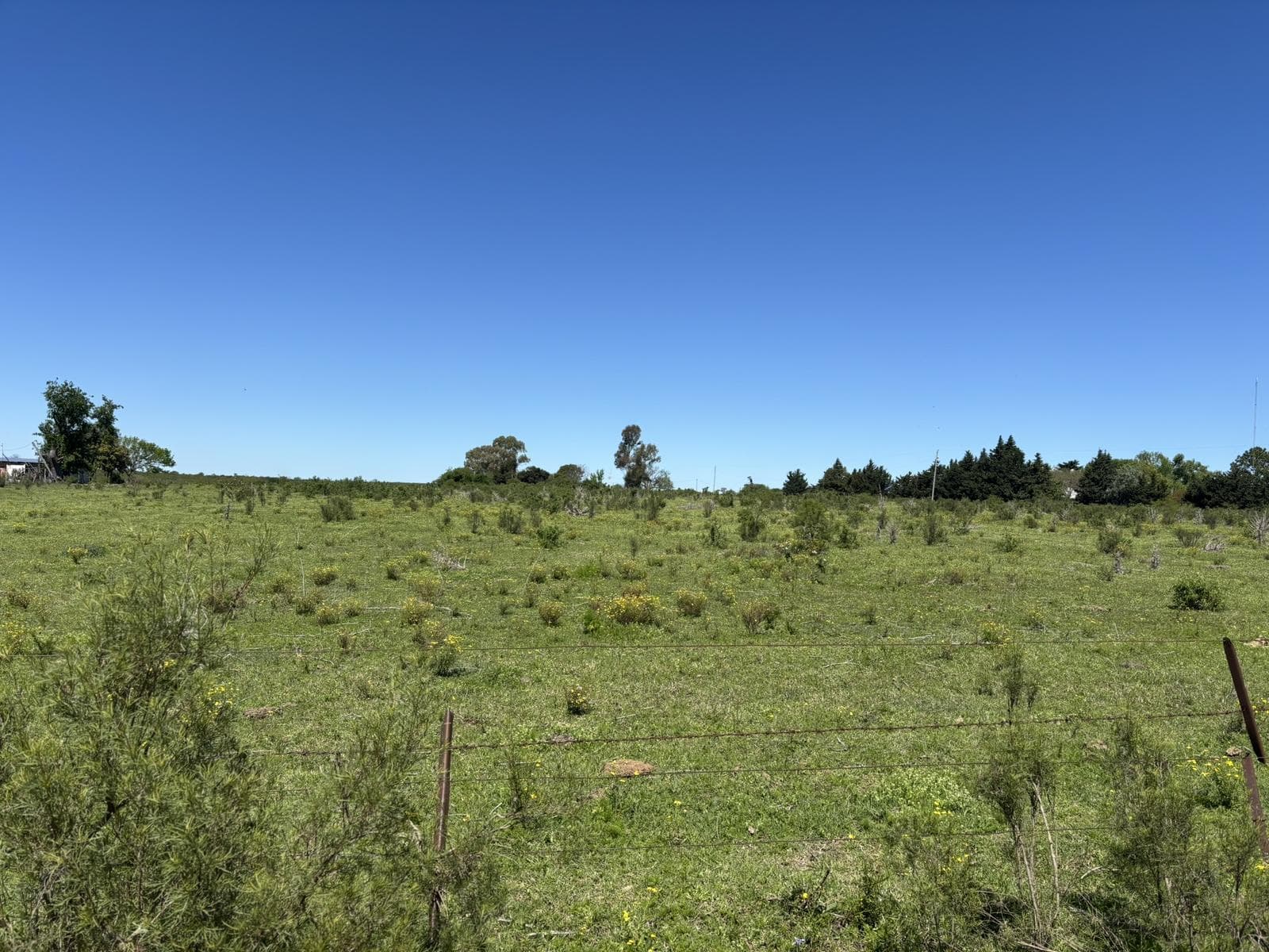 Campo en Gualeguaychu - 1