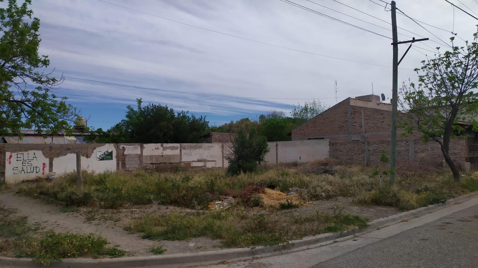 Terreno en Villa Regina - 1