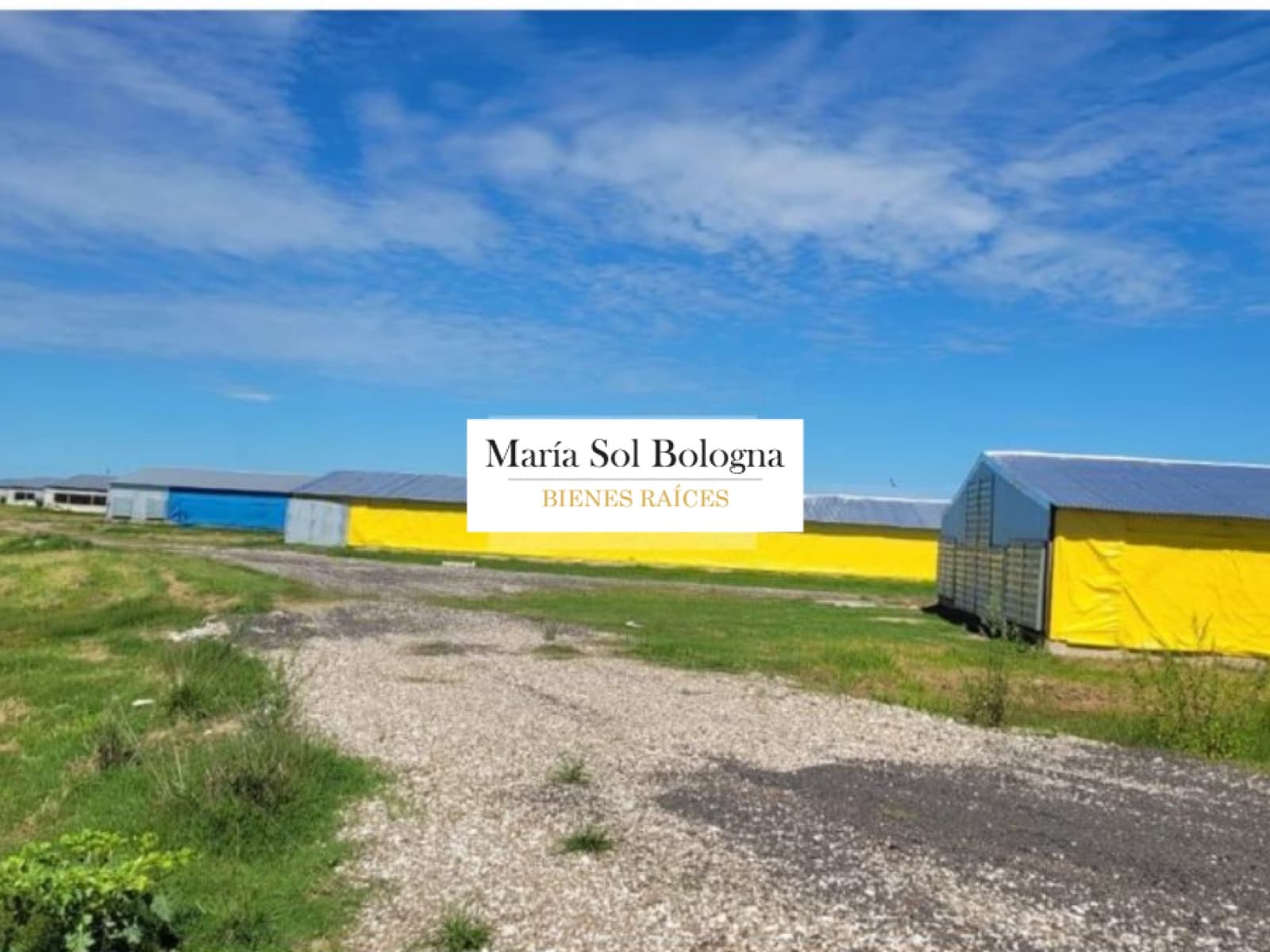 Campo - General Belgrano - 1