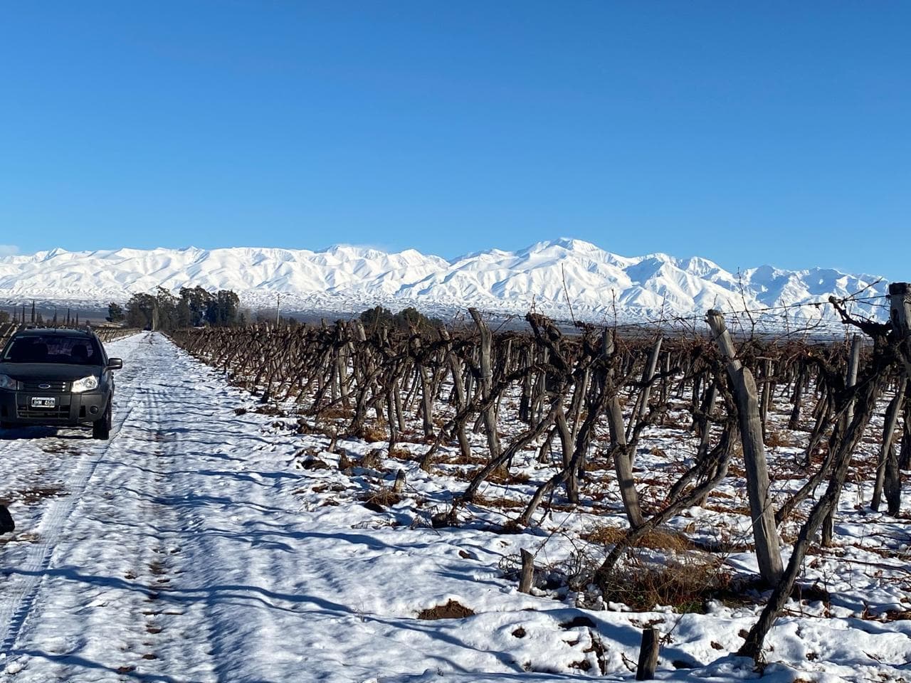 Finca en Venta en Ugarteche - 1