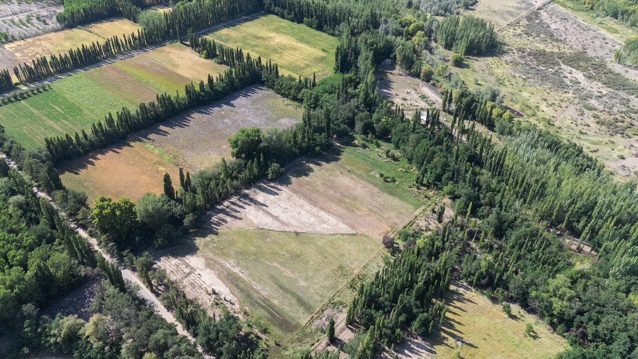 En Venta, Chacra de 7 Hectáreas, en Plottier, Neuquén - 1