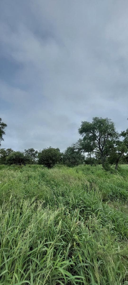 Campo en venta - 12.000.000Mts2 - Santiago del Estero - 1