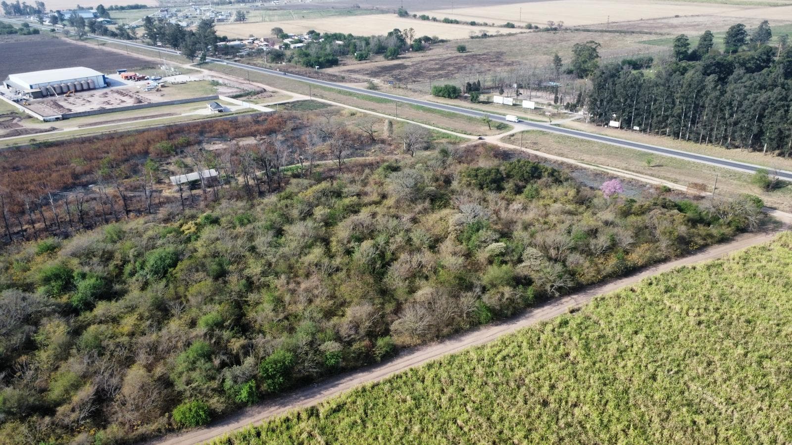 Terreno industrial en Ruta Nacional 9, Km 1281, San Andrés, Dpto. Cruz Alta, Tucumán - 1