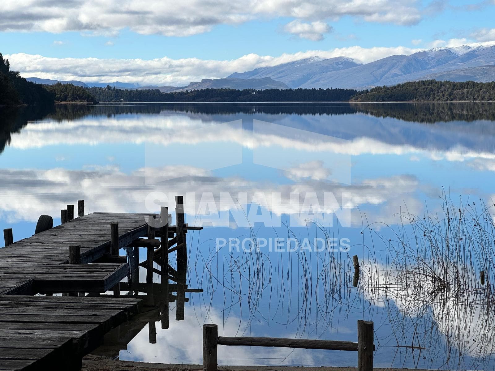 Campo 416has. en Cholila - Chubut - 1