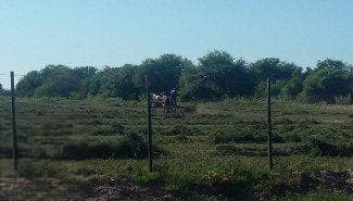 Campo en venta - 918 Hectáreas - Santiago del Estero - 1