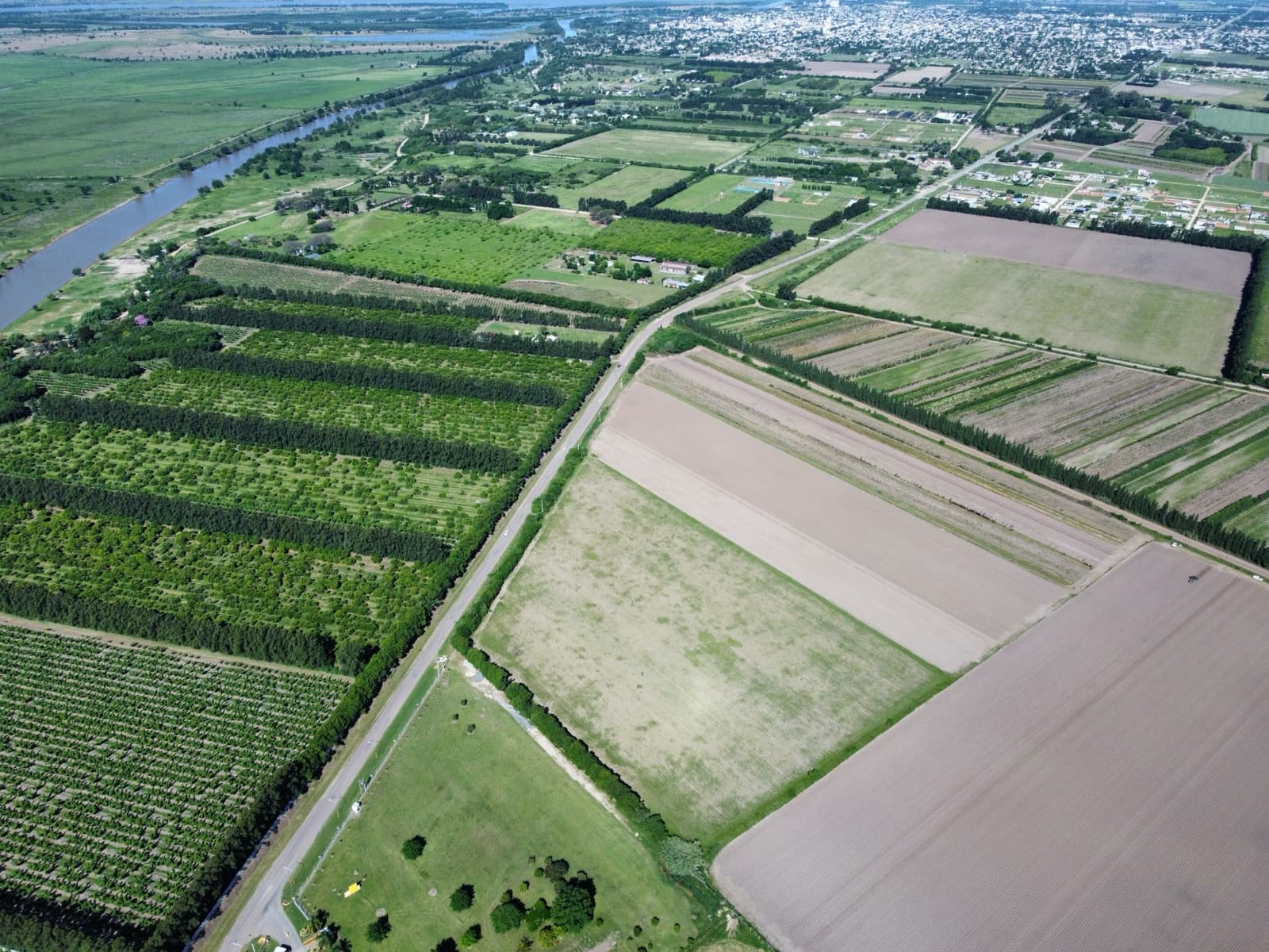 Inversión con proyección: 4,5 hectáreas con proyecto de 33 lotes residenciales en San Pedro - 1