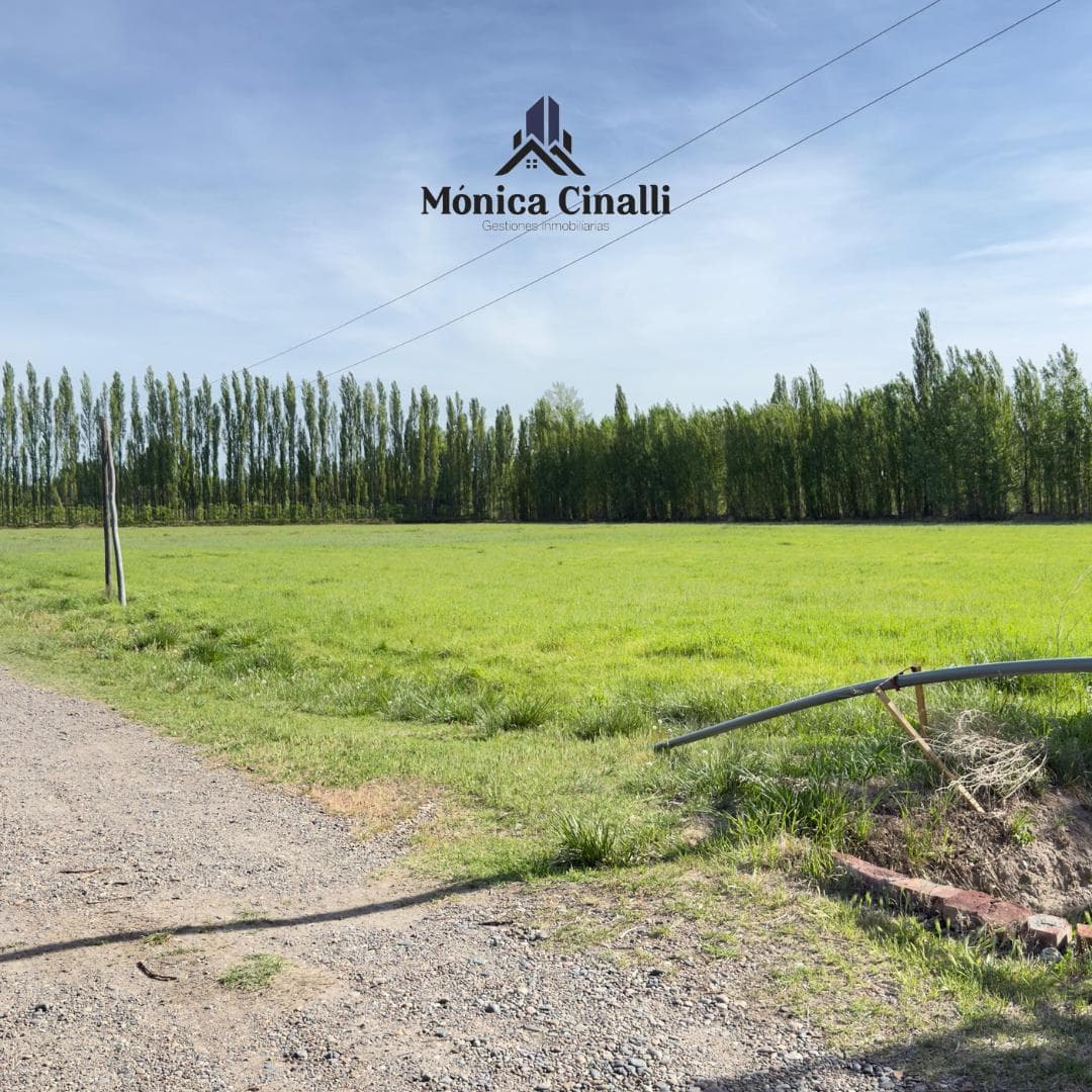 Terreno en Villa Regina - 1