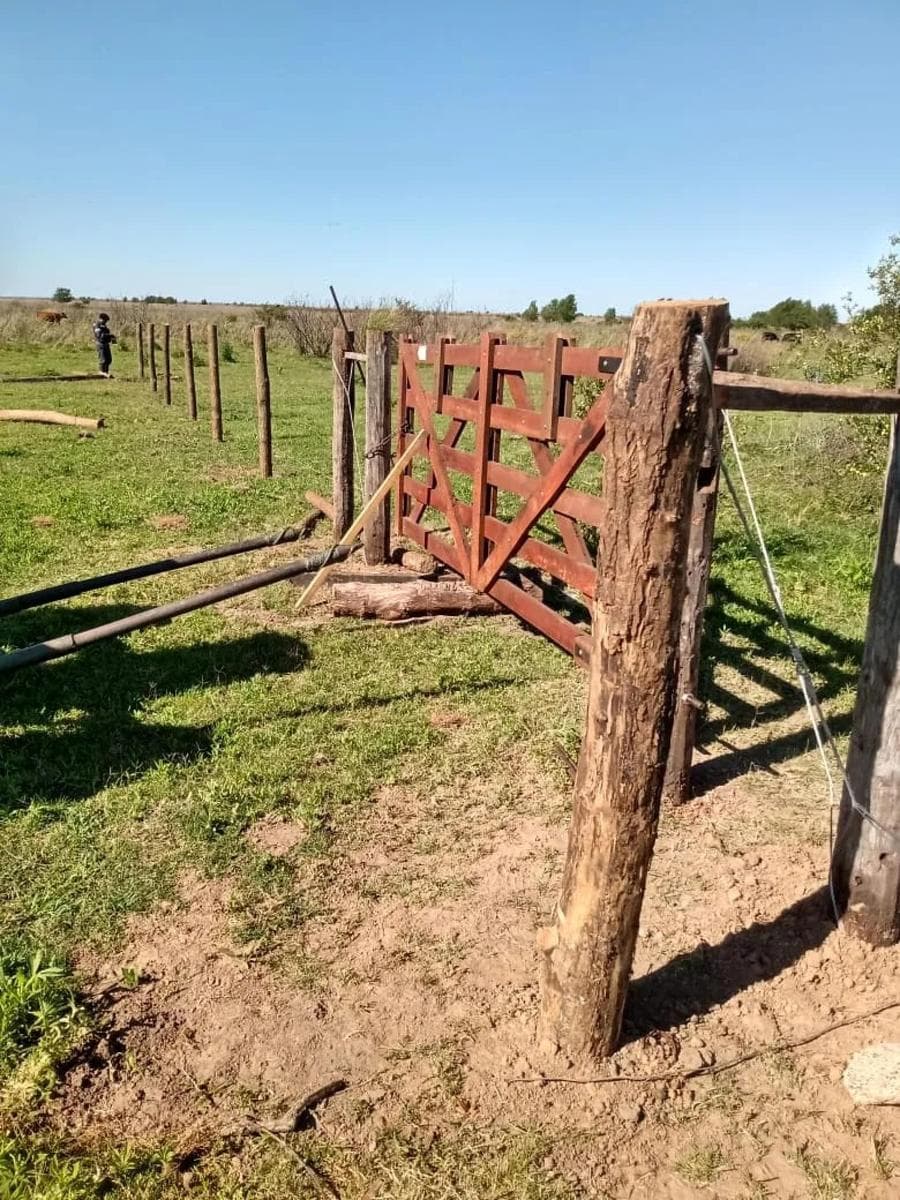 Campo en venta - 11.870.000mts2 - Entre Ríos - 1