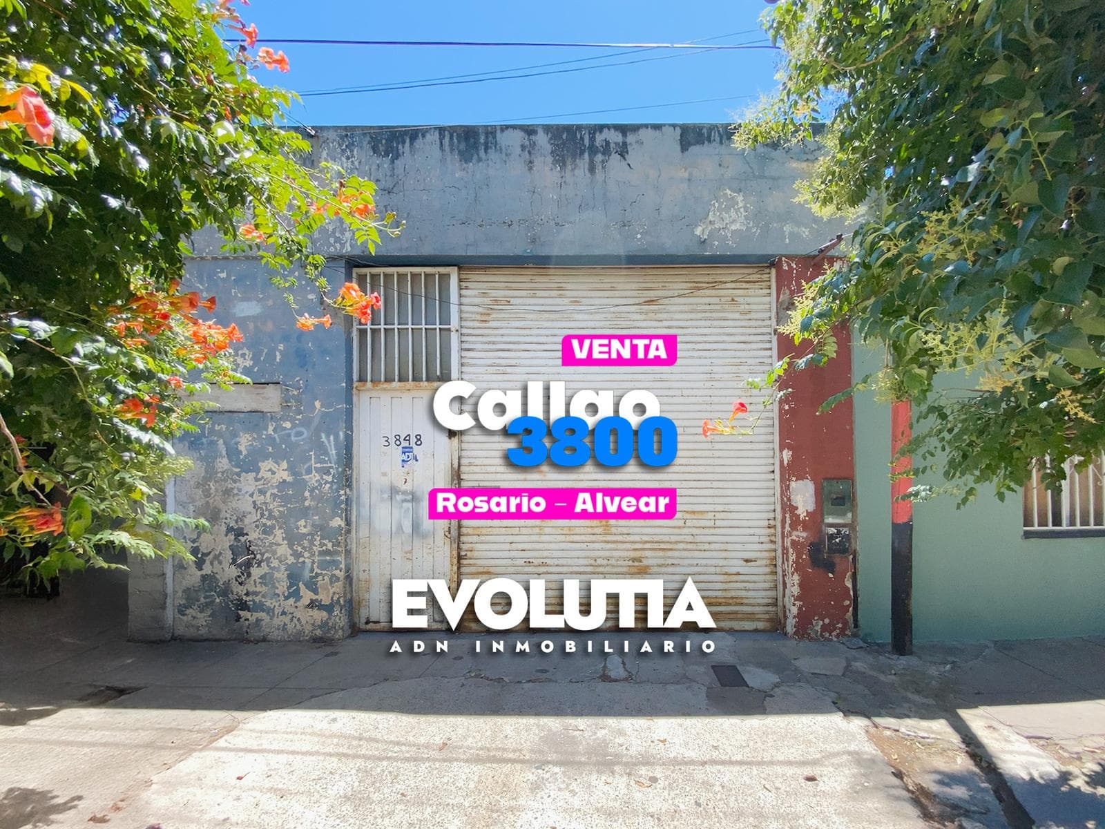 Galpón en venta en Barrio Alvear - 1