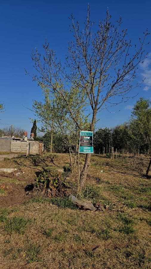 Terreno a la venta en Speluzzi - 1