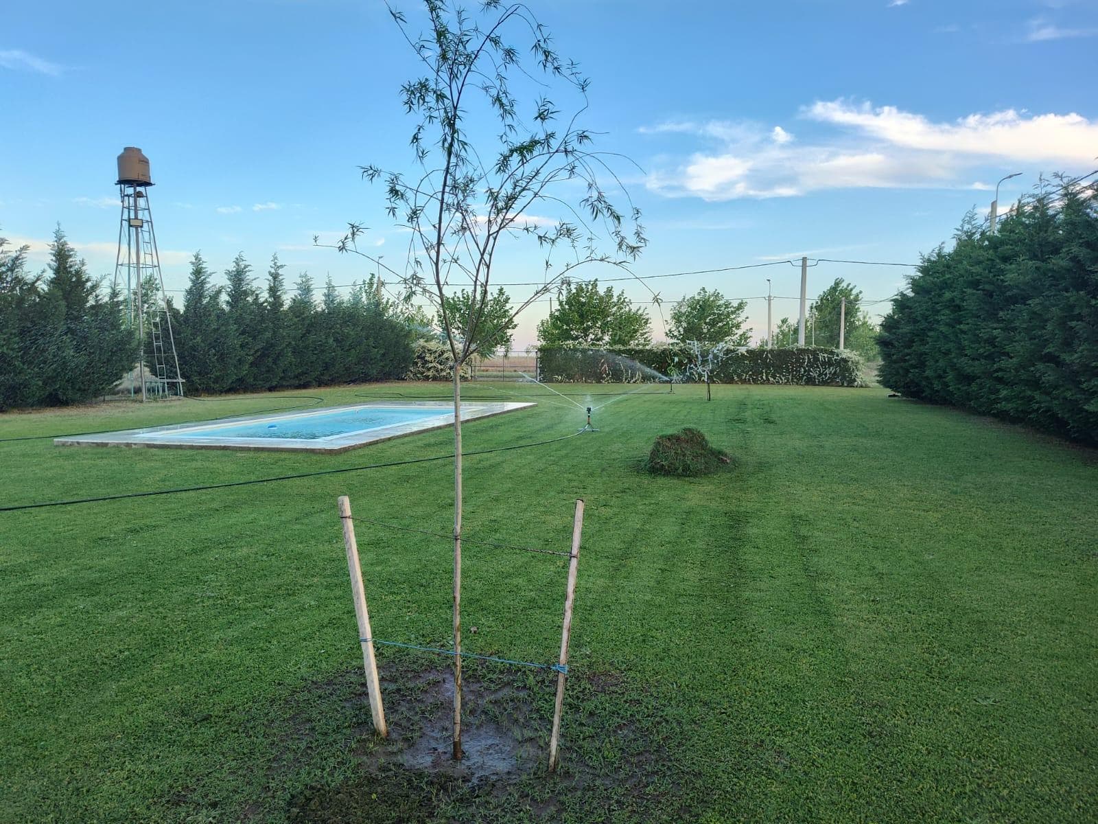 Hermoso lote forestado con pileta y construccion en Speluzzi - 1