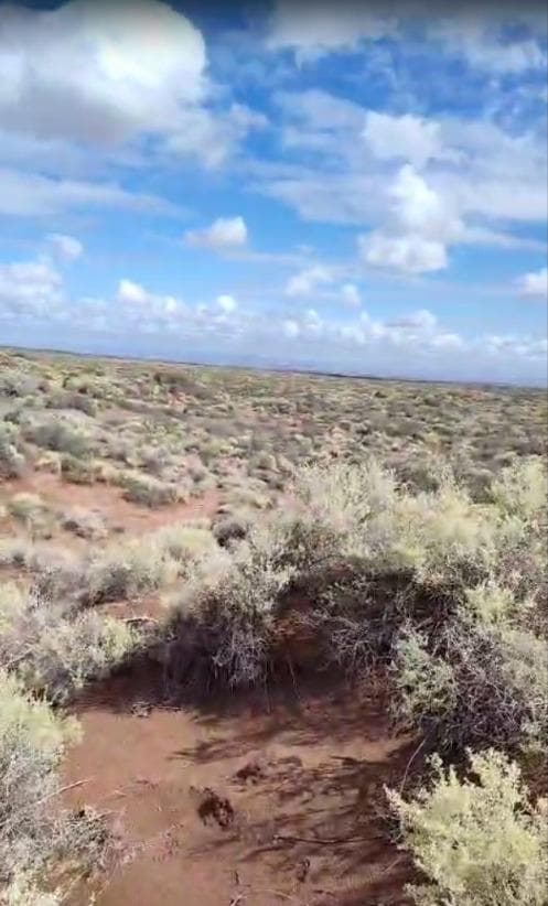 Campo en Añelo 150 HA - 1