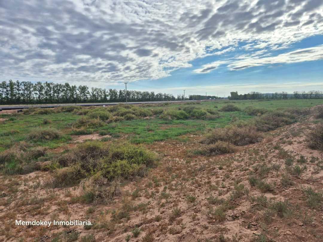 VENTA DE EXCEPCIONAL FINCA 50 HAS EN RUTA NACIONAL 7- AGRELO, MZA - 1