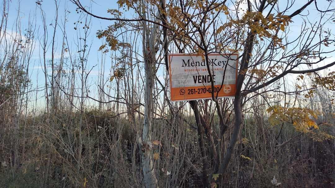 VENTA DE FINCA 10 HAS Y 2.935 M2 EN BUEN ORDEN, SAN MARTÍN-MZA. - 1