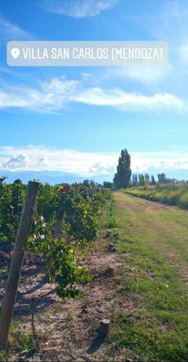 VENTA EXTRAORDINARIA FINCA JUNTO A UN HERMOSO ARROYO, EN SAN CARLOS. - 1