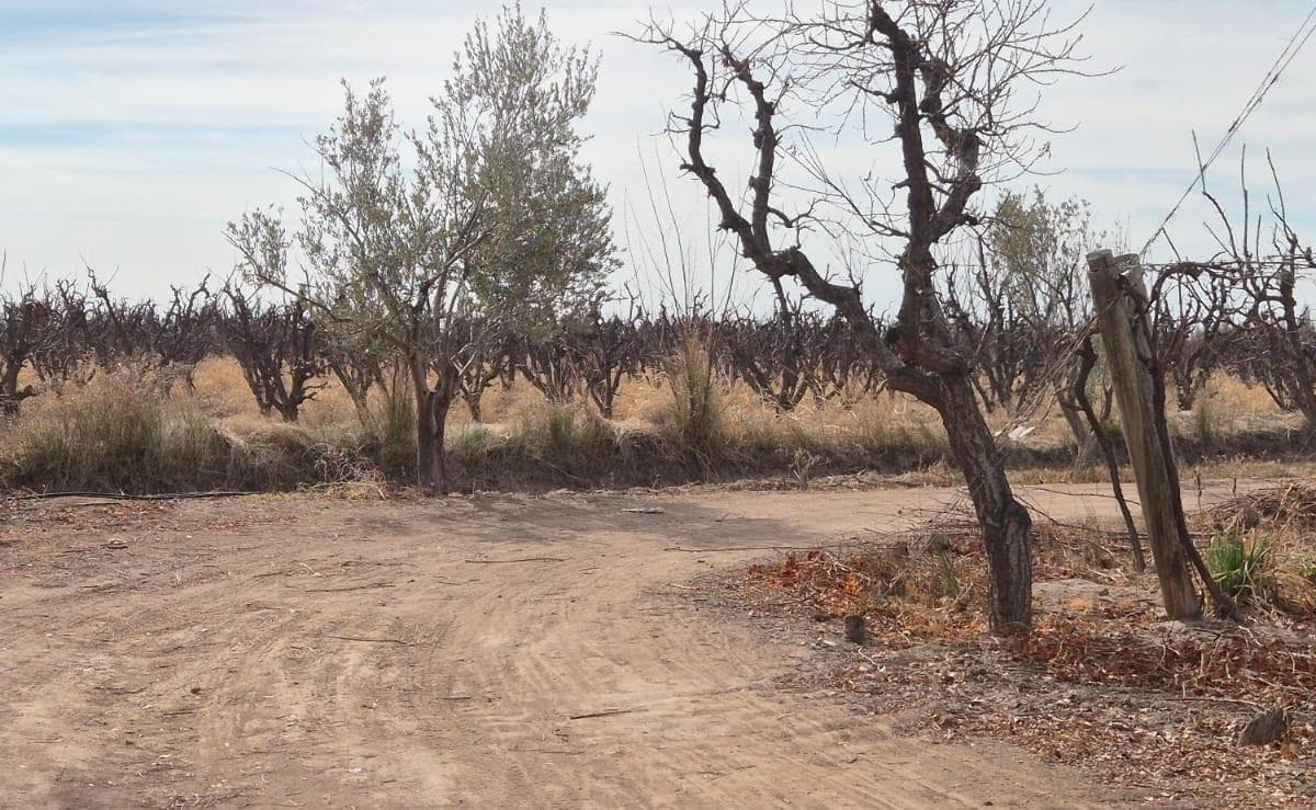 VENTA FINCA DE 72 HAS EN ISLA GRANDE, SAN ROQUE – MAIPÚ, MZA - 1