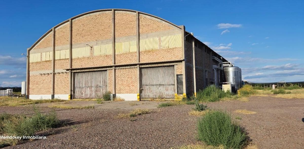 VENTA DE FINCA 20 HAS Y BODEGA - VILLA DIVISADERO, SANTA ROSA, MZA - 1