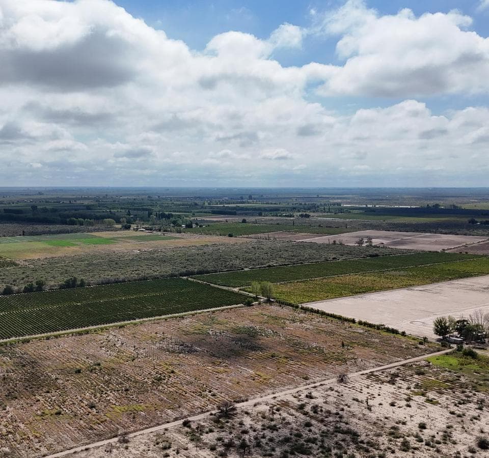 VENTA DE FINCA 40 HAS CALLE LA FLORIDA, EN EL MIRADOR - RIVADAVIA,MZA - 1