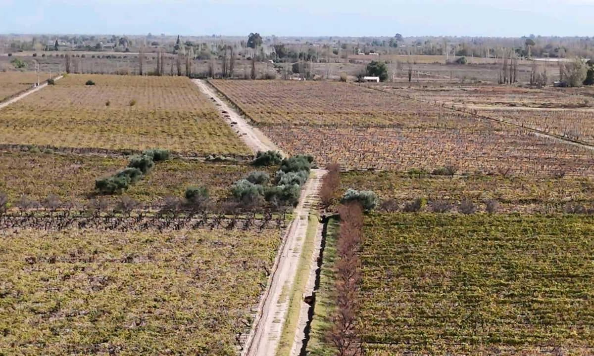 VENTA DE FINCA 63 HAS - EL ESPINO, SAN MARTIN , MENDOZA - 1