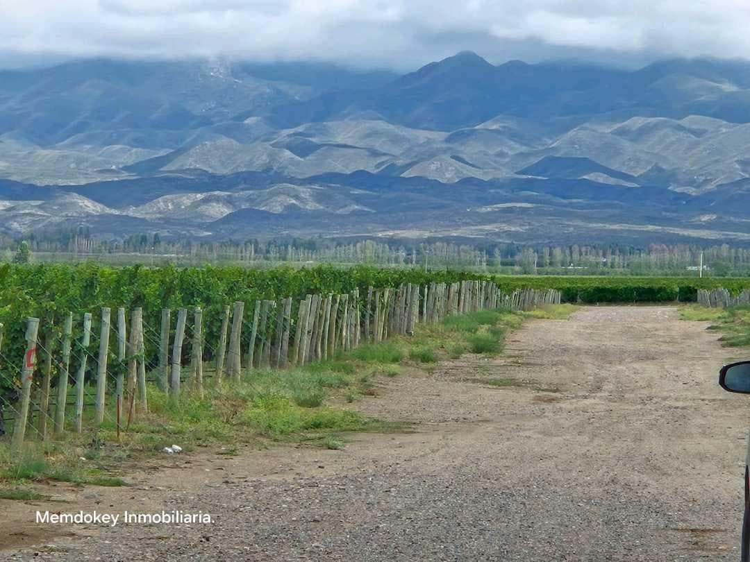 VENTA DE FINCA ÚNICA DE 275 HAS - EN TUNUYAN, MENDOZA. - 1