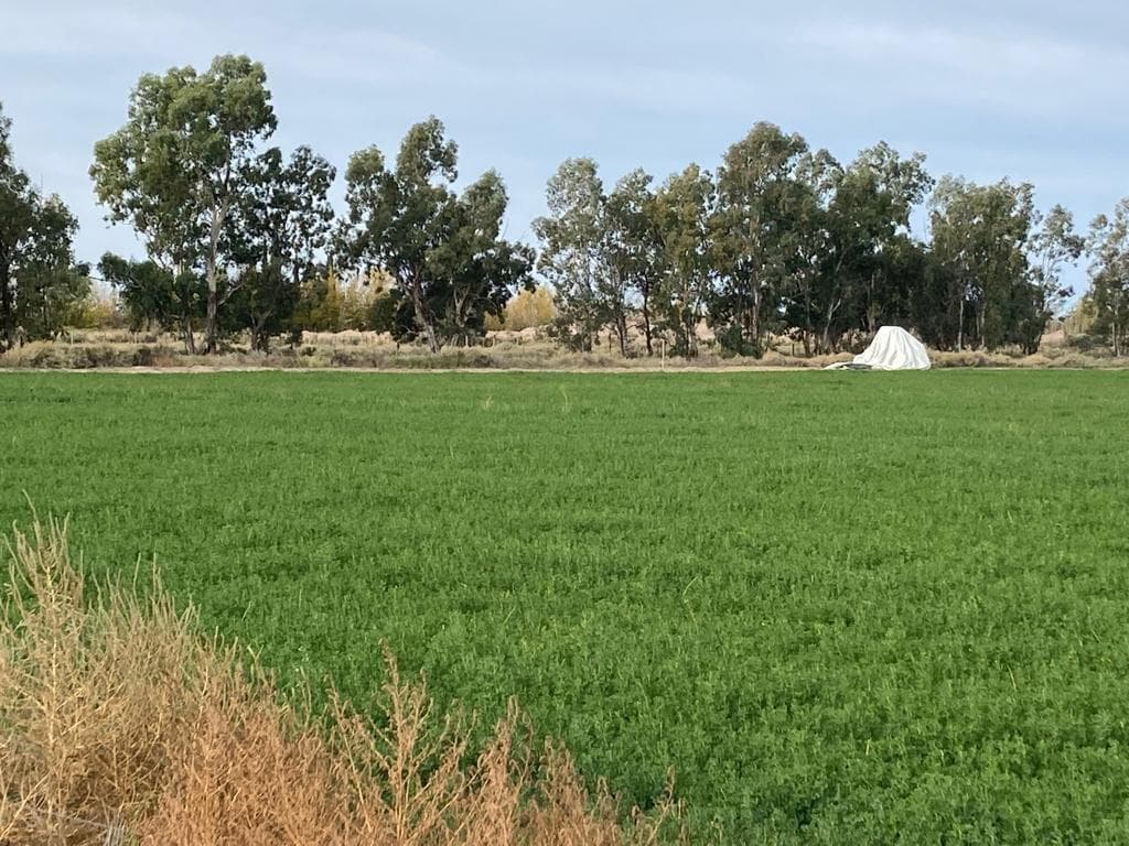 INMOBILIARIA MENDOKEY VENDE FINCA 50HAS EN LA DORMIDA, SANTA ROSA-MZA. - 1