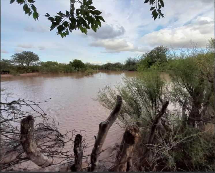 VENTA DE CAMPO 1.100 HAS EN LAS CATITAS- MENDOZA - 1