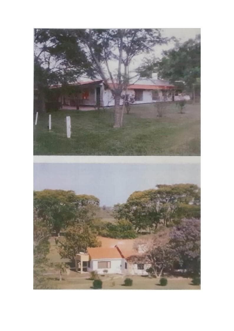 campo mixto en San Cristóbal 6056 hectáreas - 1