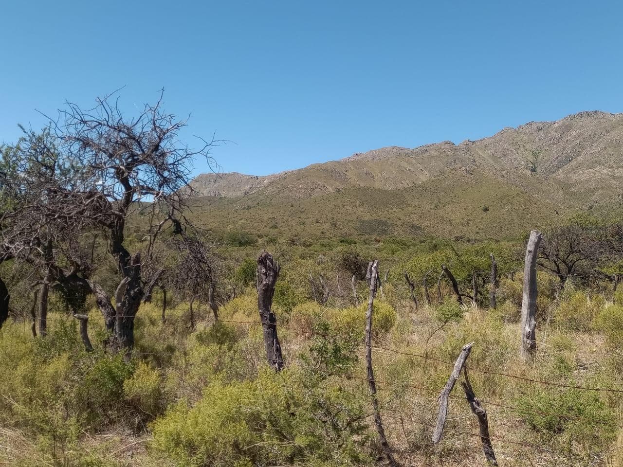 Exelente terreno en Villa Larca - 1