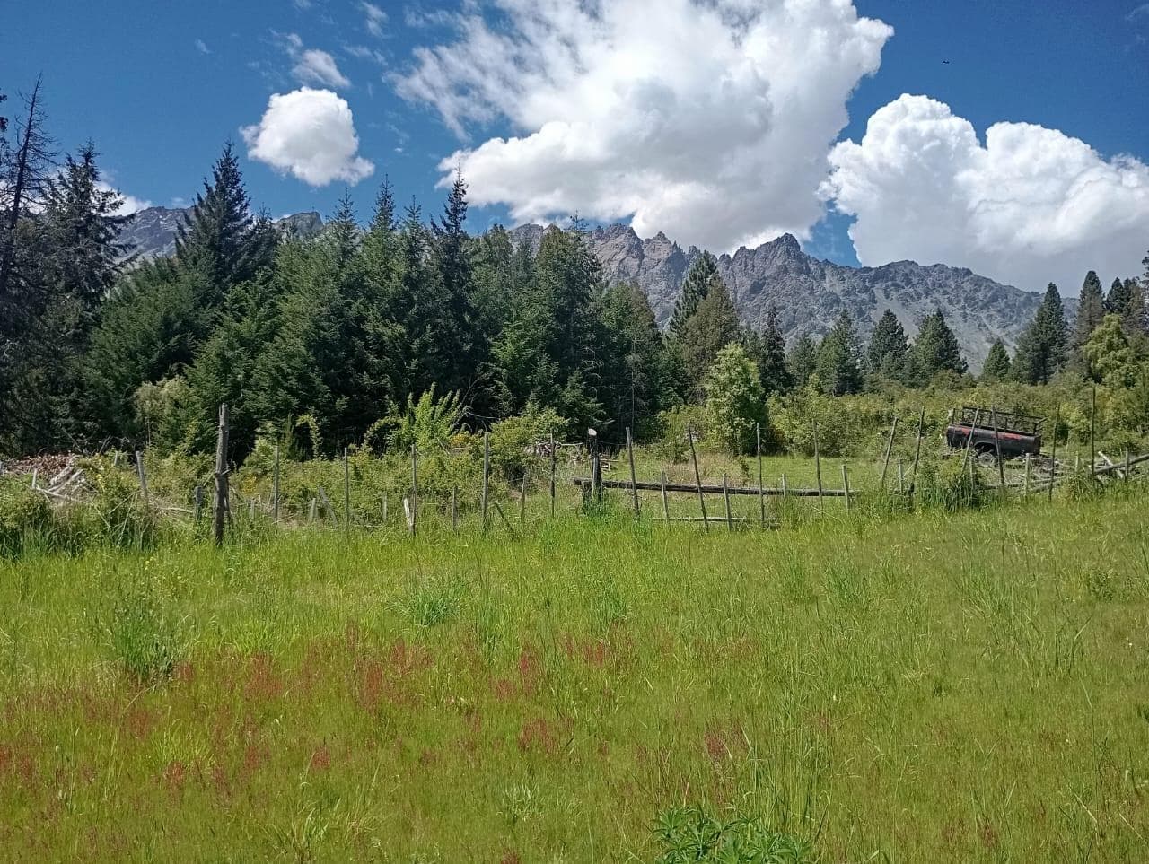 Hermoso lote de 1250 m2 en Suizo Argentino. Lago Puelo. USD 45.000 - 1