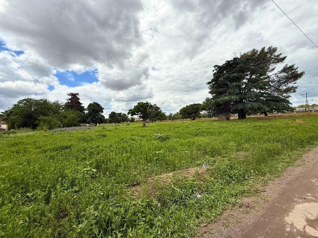 Terreno en San Pedro - 1