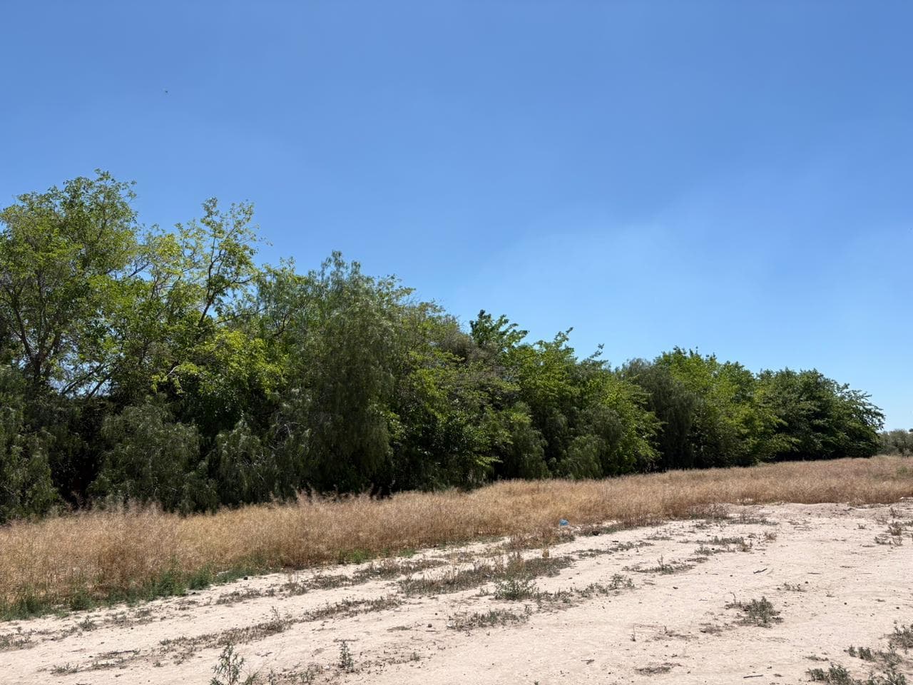 Terreno a la venta en calle Monteagudo - 1