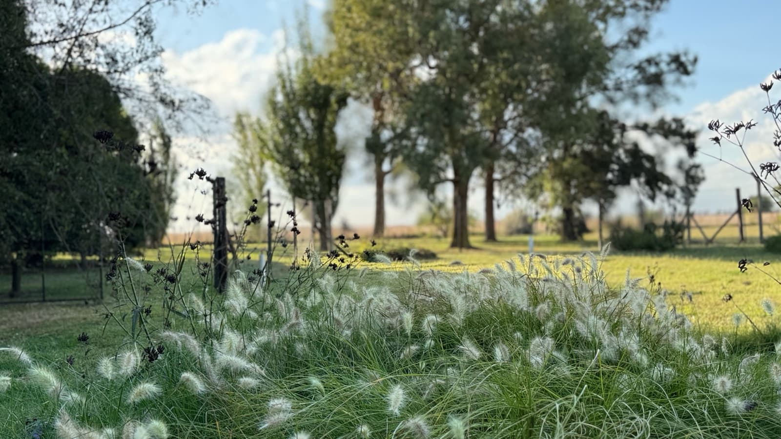 Chacra de 6 hectáreas con casa de campo, parque arbolado y piscina – entorno único en los alrededores de Salvador María, Lobos - 1