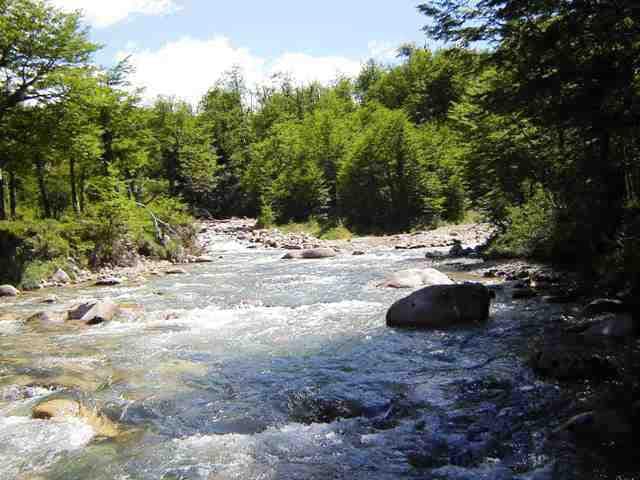 INMOBILIARIA COMODORO - CHUBUT - CAMPO CORDILLERANO LIMITE CON CHILE - 1