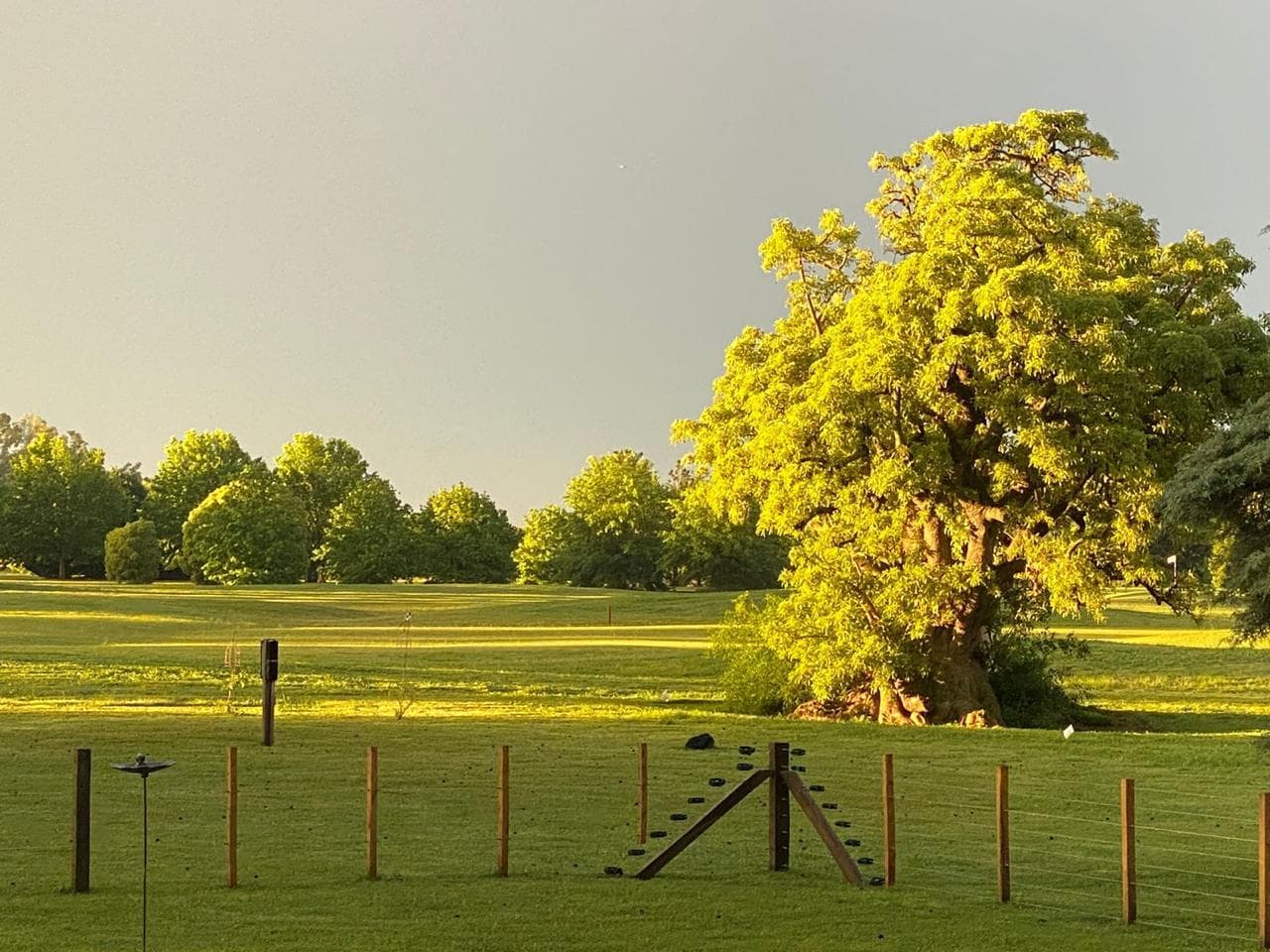 Venta de Lote en Chacras La Primavera Golf - Carlos Keen - 1