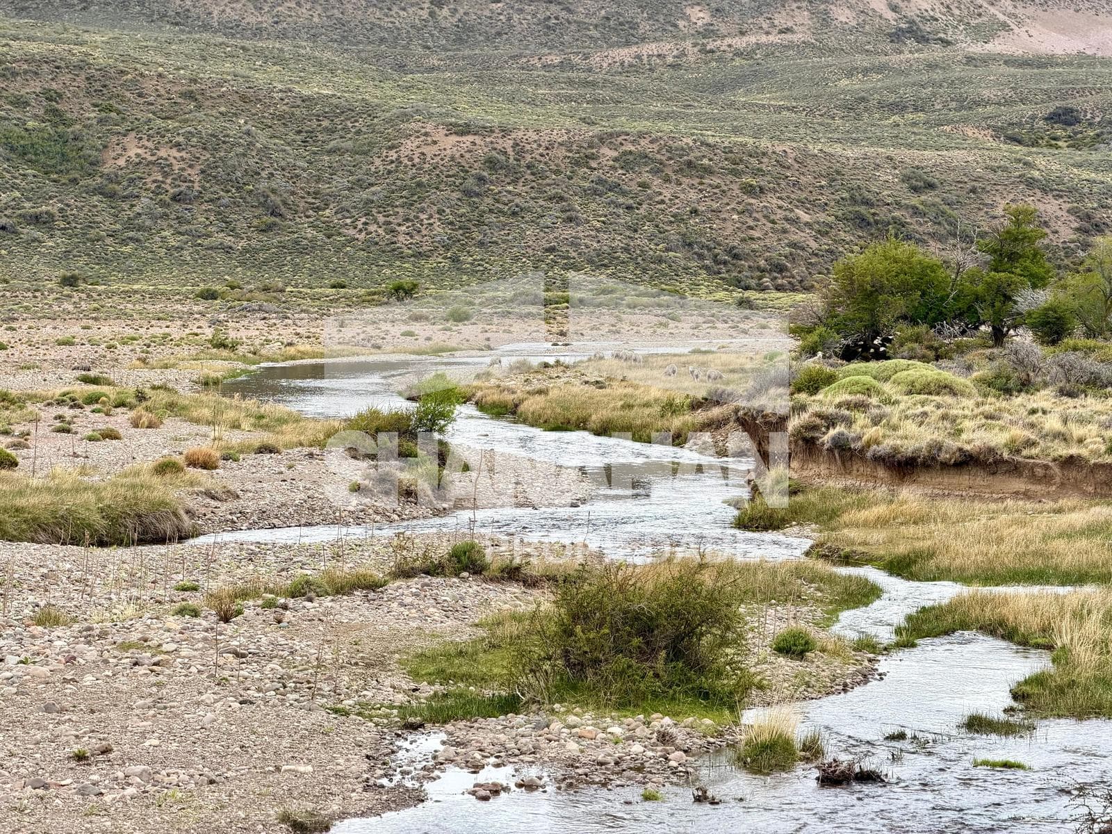 Campo en venta Bariloche - 1