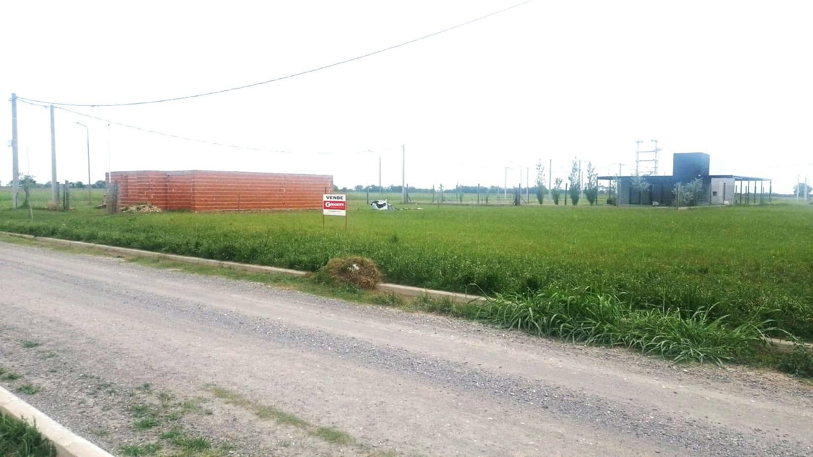 3 Terrenos baldíos en Venta - 1