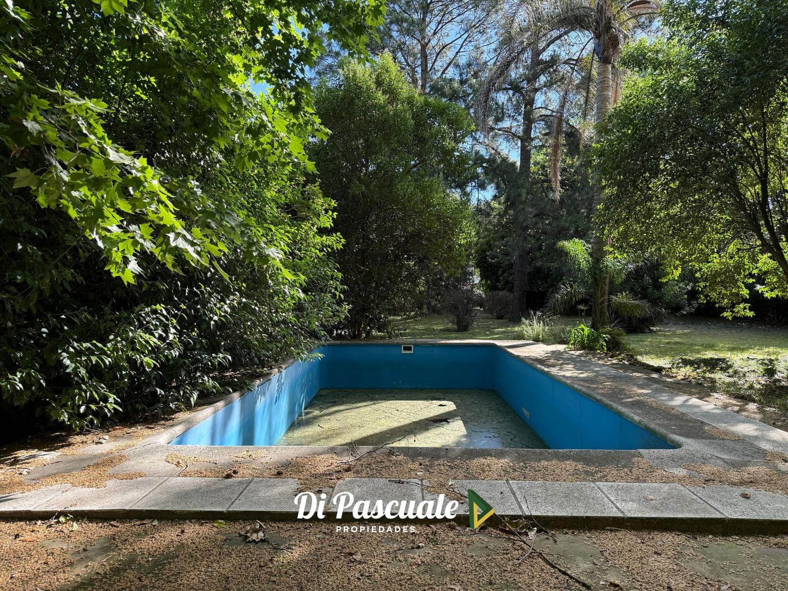 VENTA Oportunidad Casa Quinta con Parque, Pileta y Casa A Reciclar - La Reja Sur - 1