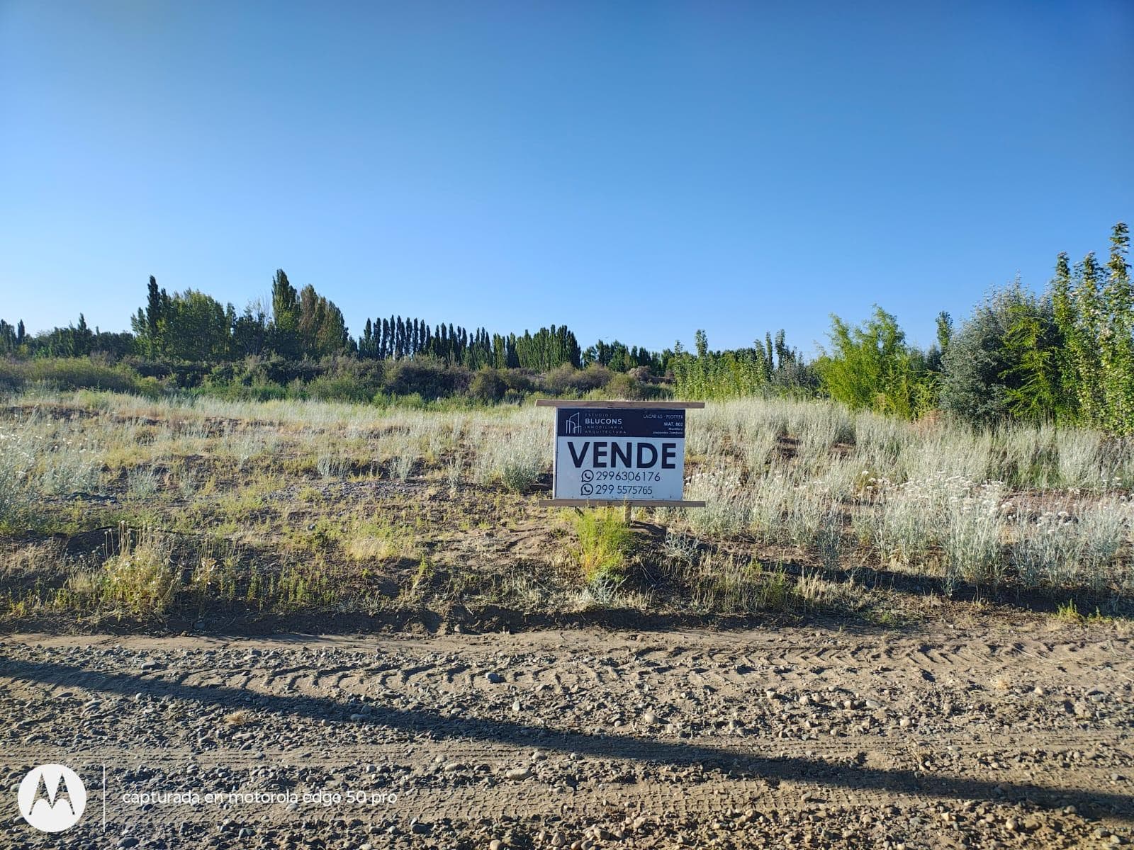 Terreno en Senillosa - 1