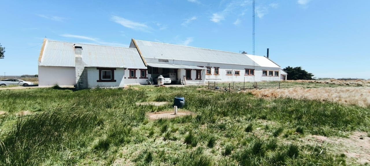 Nave Industrial en Ruta 226 - 1