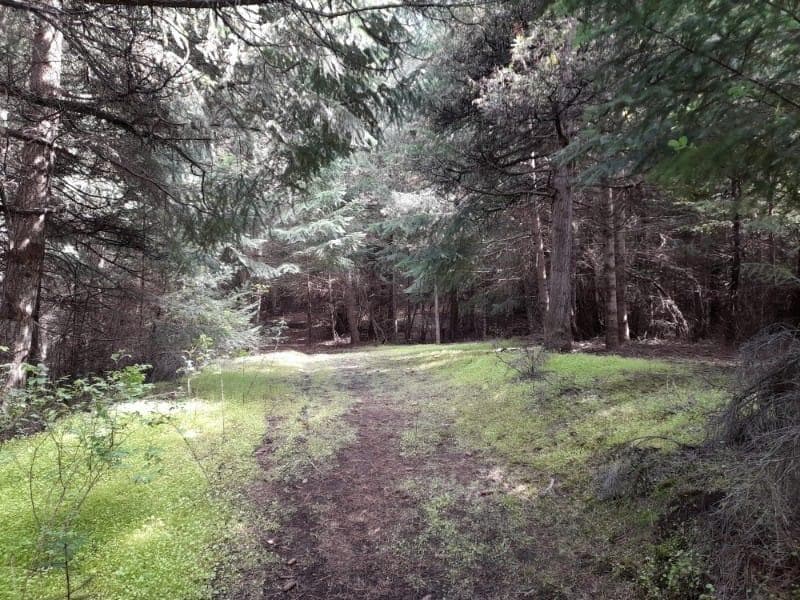 Chacra, El Bolsón - 1