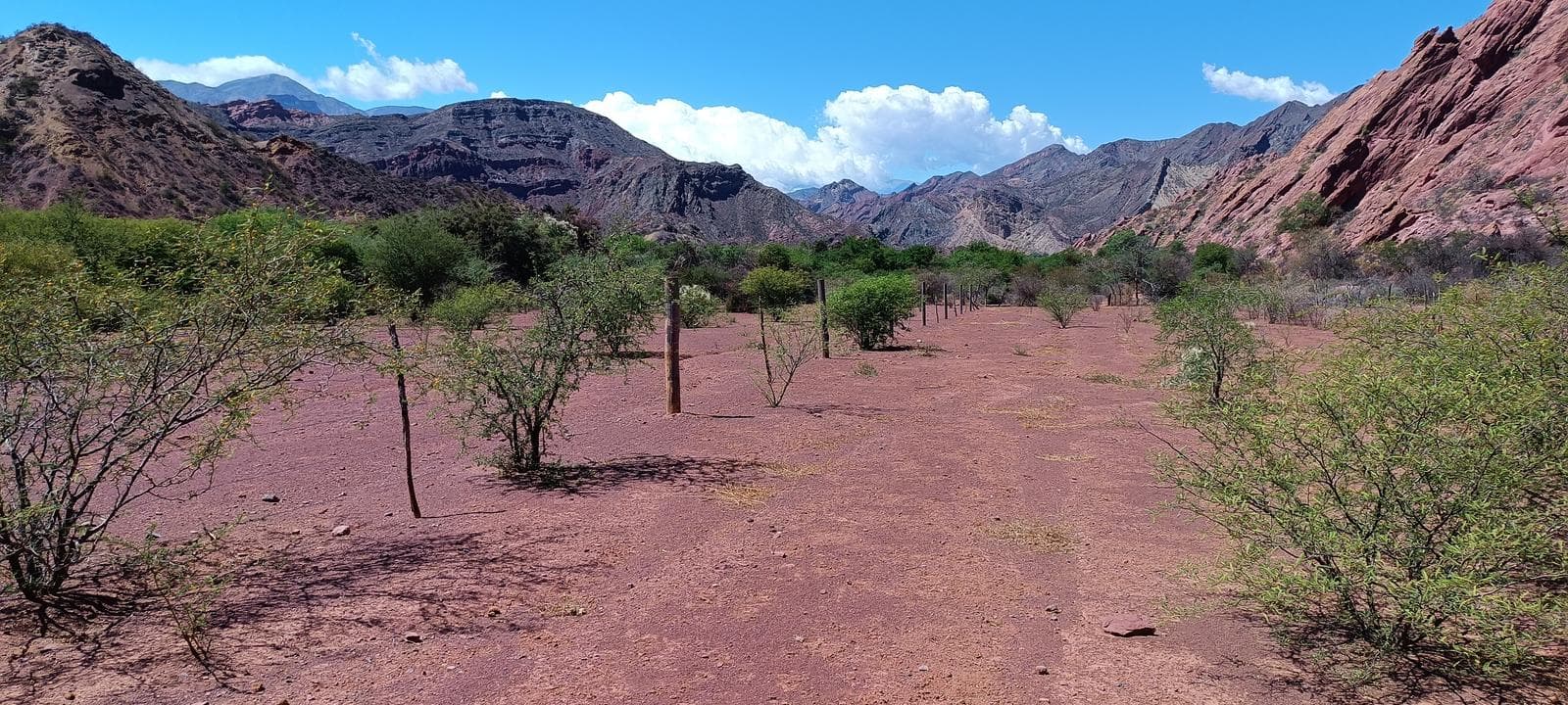 Viñedo en venta - 27.300Mts2 - Salta - 1
