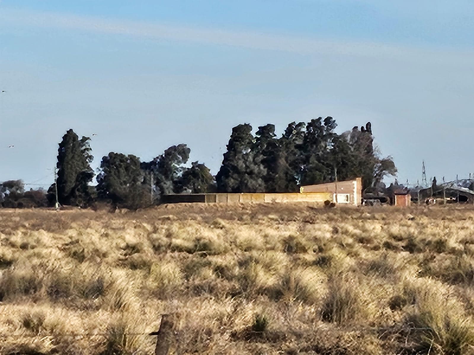 Campo en Rio Cuarto - 1