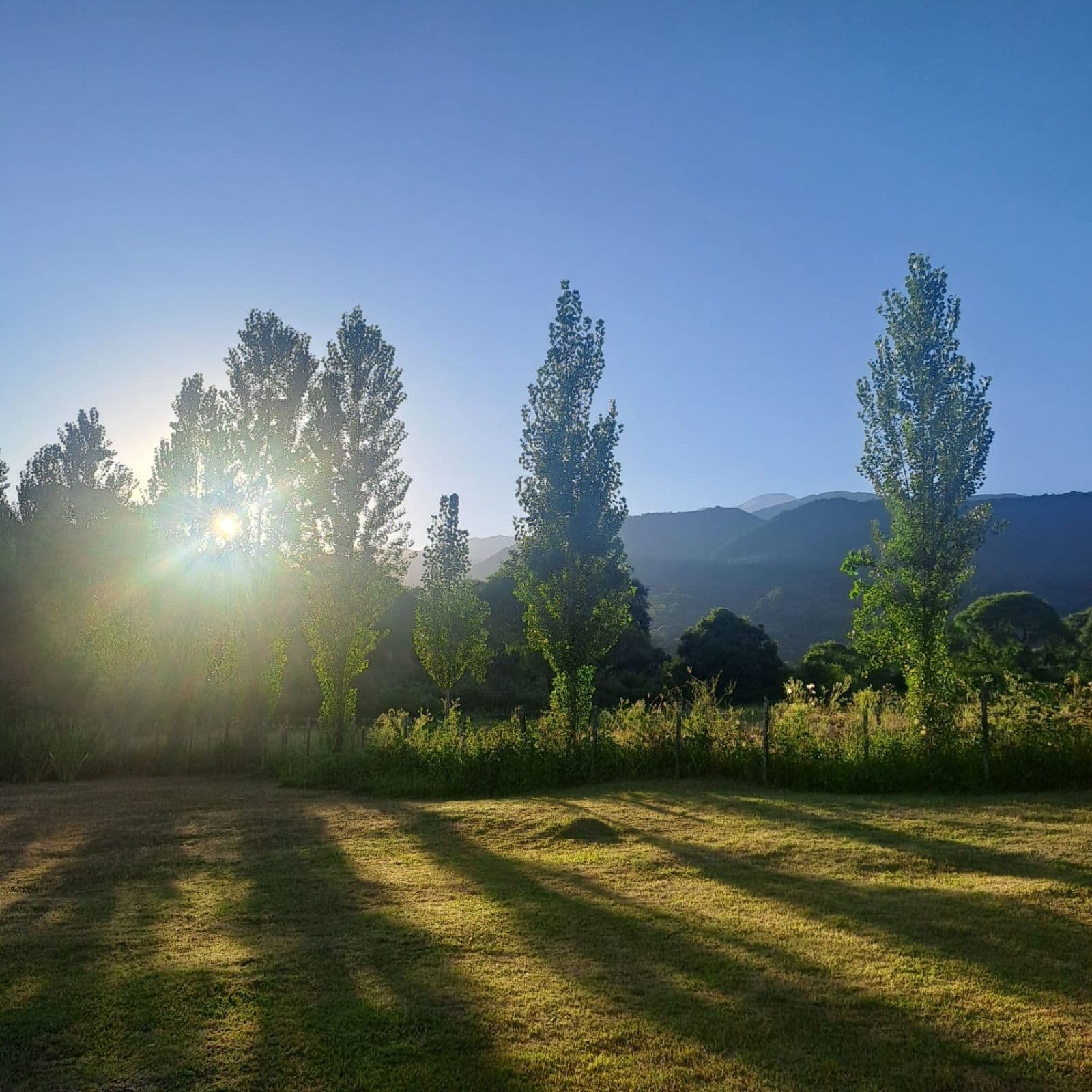 Chacra de una hectarea con casa en Camara Quijano - 1