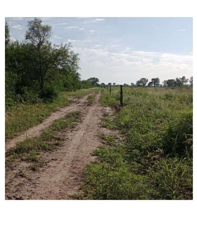 Campo Gandero de primer nivel - 1