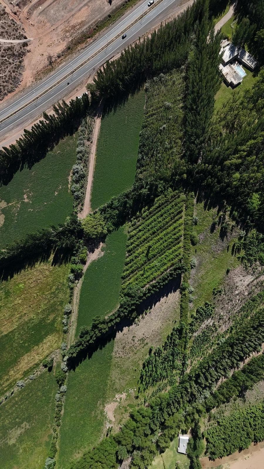 Chacra en Centenario - 1